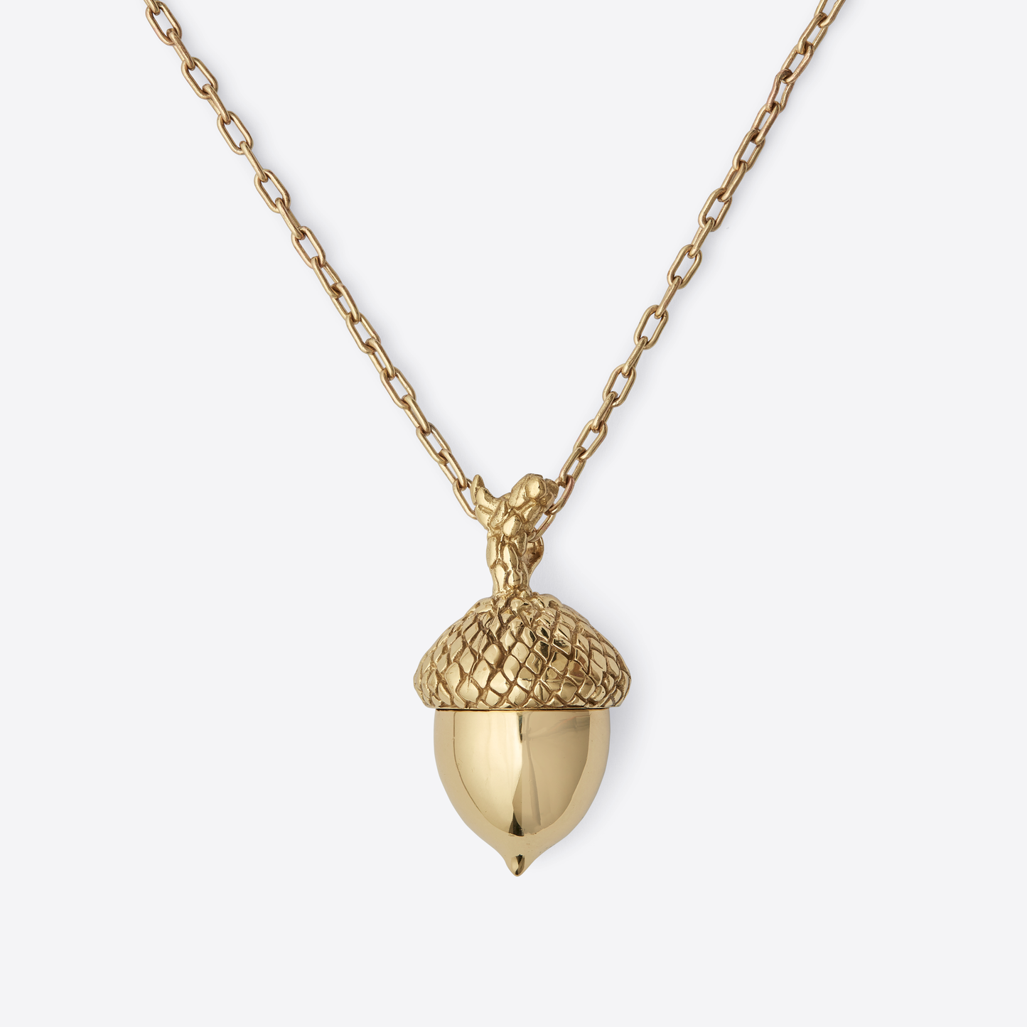 The Oak Tree Large Brass Acorn Necklace