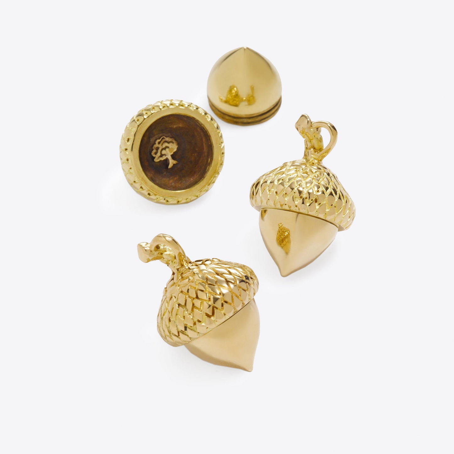 The Oak Tree Medium Brass Acorn Charm