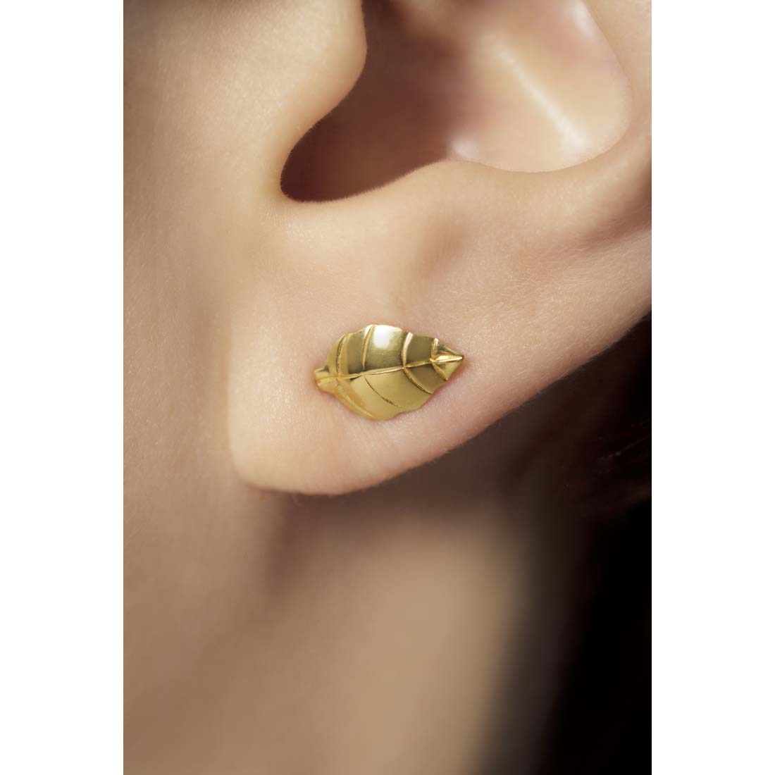 Silver Leaf Stud Earrings
